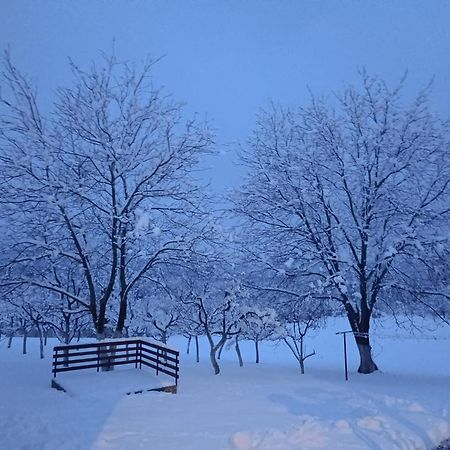 Apartman Plum Plitvice Drežnik Grad Dış mekan fotoğraf