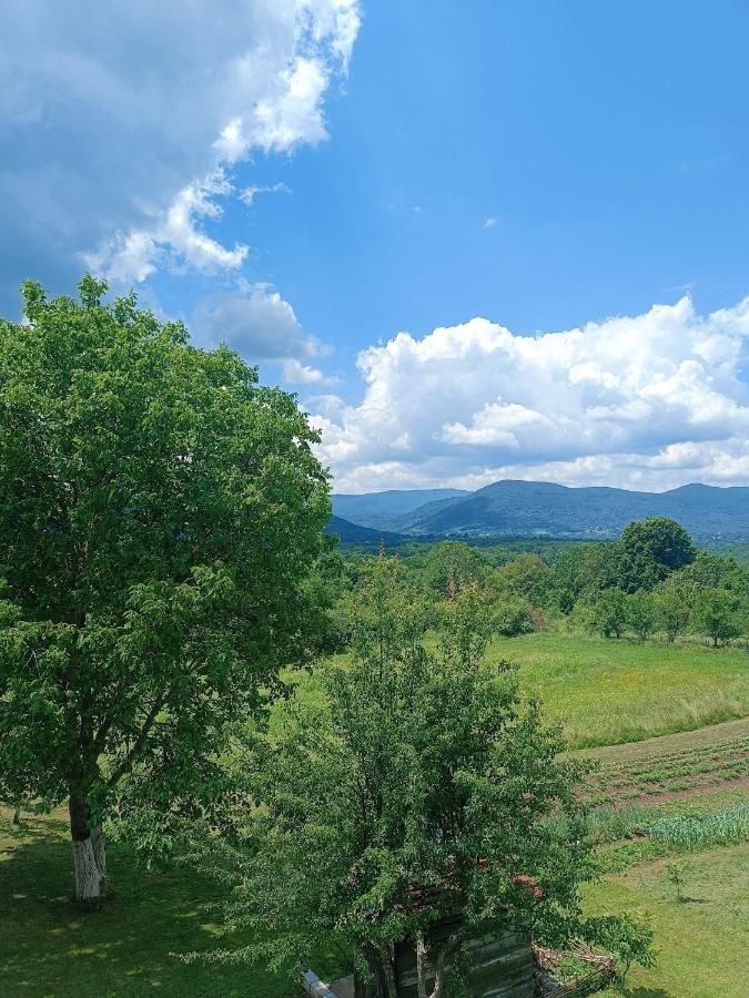 Apartman Plum Plitvice Drežnik Grad Dış mekan fotoğraf