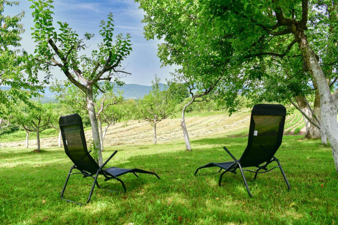Apartman Plum Plitvice Drežnik Grad Dış mekan fotoğraf