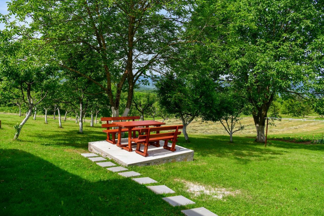 Apartman Plum Plitvice Drežnik Grad Dış mekan fotoğraf